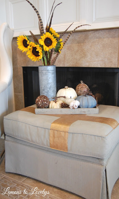 Fall Ottoman Vignette