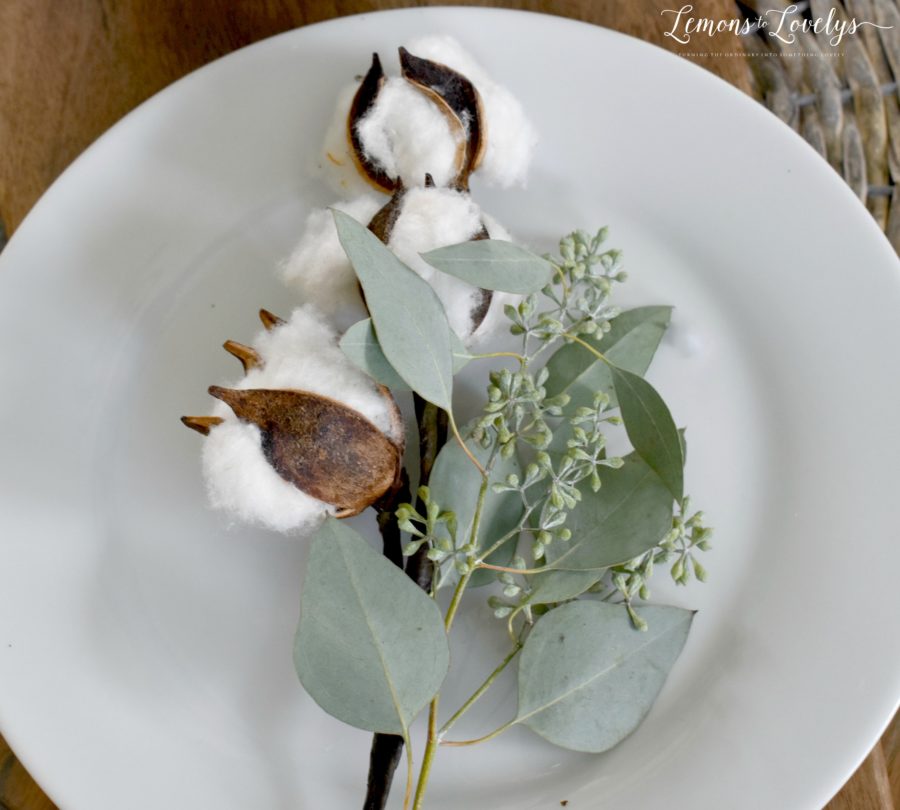 cotton and eucalyptus on plate