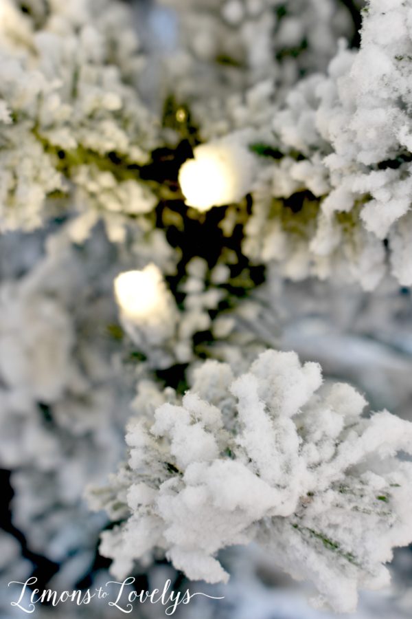 Closeup of lights on Christmas tree