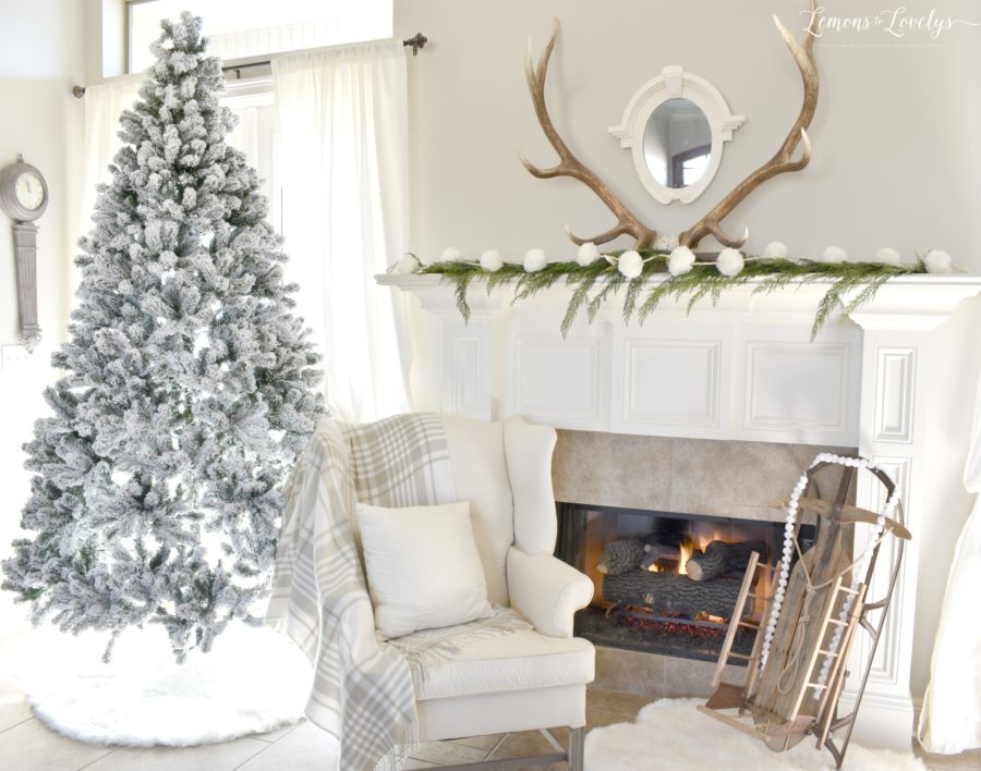 Winter Decor