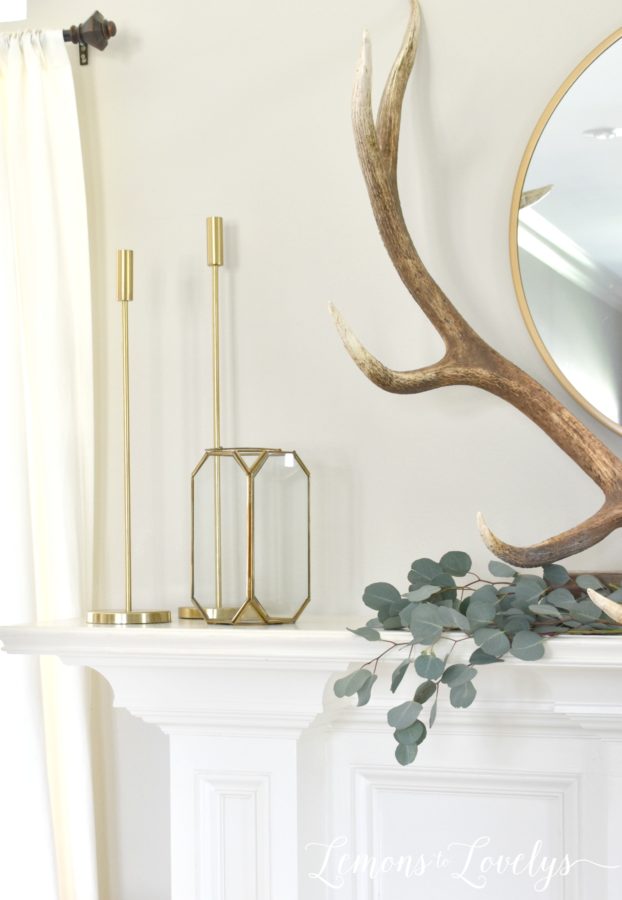 elk horns on mantle