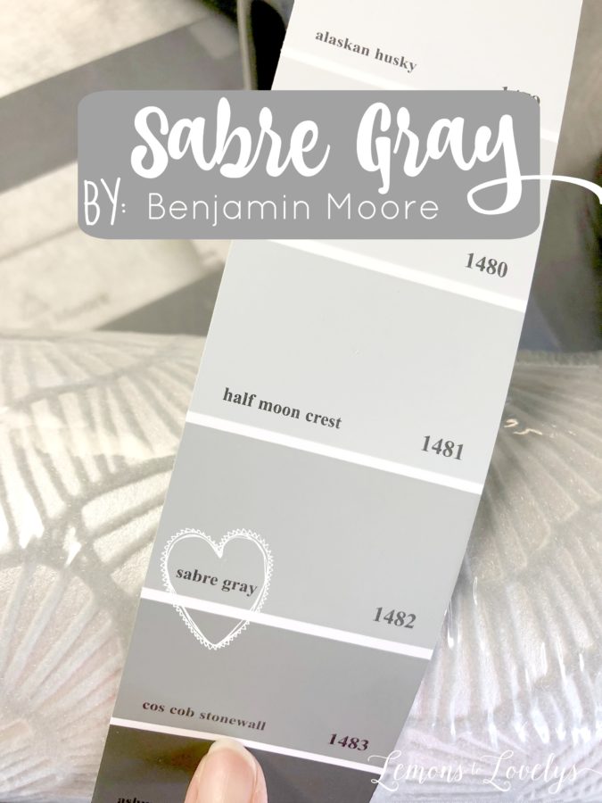 Sabre Gray by Benjamin Moore