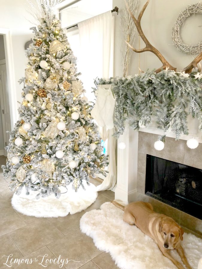 Tour of Homes Decorated for Christmas